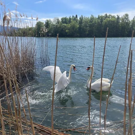 וילה Wellness Da Sogno Sul Pusiano