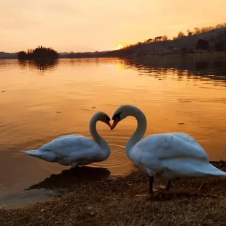 Wellness Da Sogno Sul Pusiano