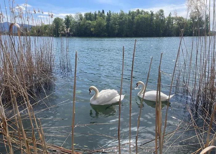 Wellness Da Sogno Sul *