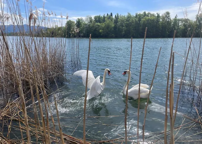 Villa Wellness Da Sogno Sul Pusiano