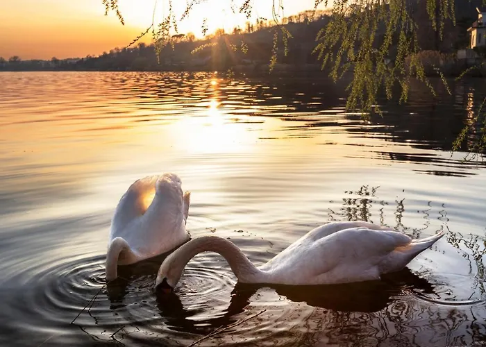 Wellness Da Sogno Sul * Pusiano