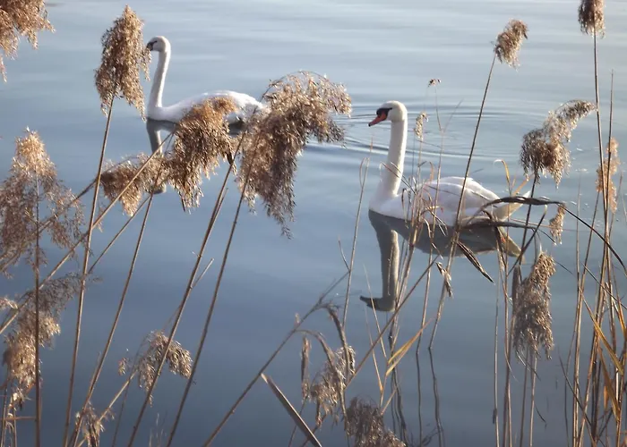 Wellness Da Sogno Sul * Pusiano