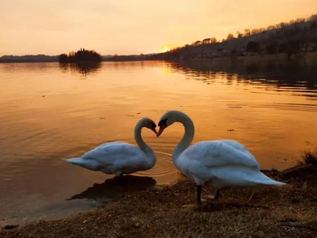 Wellness Da Sogno Sul Pusiano