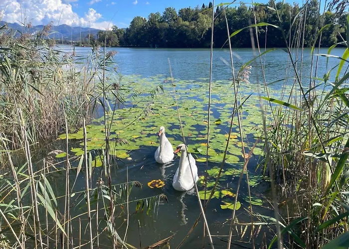 Villa Wellness Da Sogno Sul *