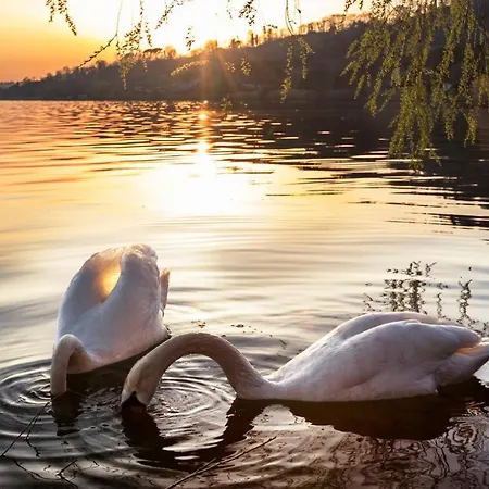 Wellness Da Sogno Sul * Pusiano