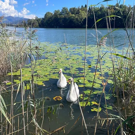 Вилла Wellness Da Sogno Sul *